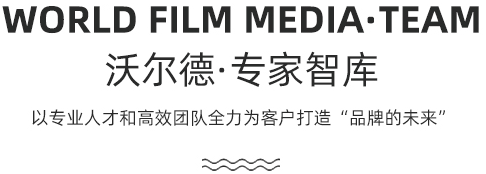 专家智库