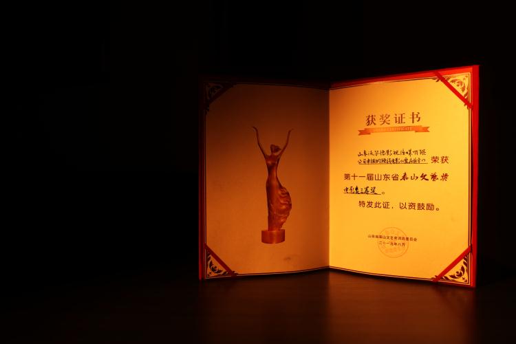 《爱在前方》泰山文艺奖.jpg