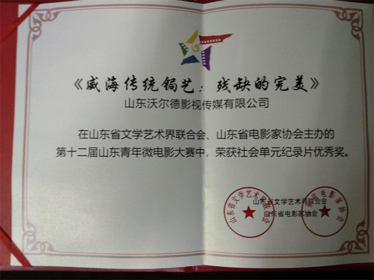 《残缺的完美》十二届山东青年微电影大赛优秀奖.png