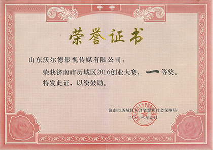 创业大赛一等奖
