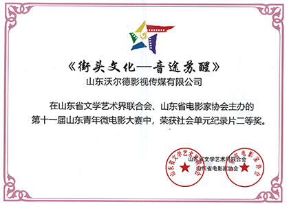 第十一届山东青年微电影大赛 社会纪录片二等奖