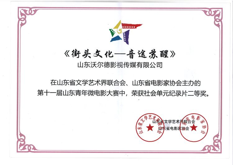 第十一届山东青年微电影大赛 社会纪录片二等奖.jpg