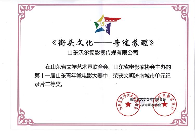 第十一届山东青年微电影大赛 文明济南城市单元纪录片二等奖.jpg